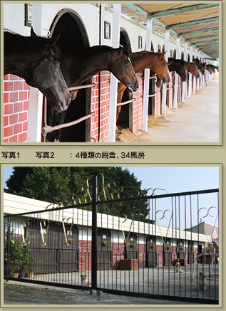 4種類の厩舎、34馬房